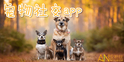 宠物社交平台有哪些?最火的宠物社交软件-宠物交友app排行