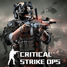 һʷϷ(critical strike)