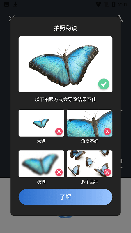 picture insect v2.7.7 ׿2