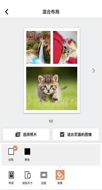 selphy photo layout app v2.1.0 ׿ 1