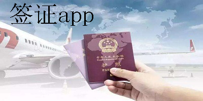签证app