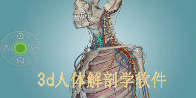 3d人体解剖学软件