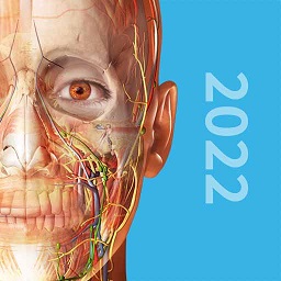 人体解剖3d教学软件
