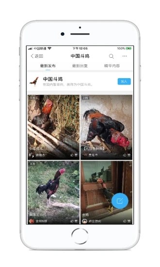中国斗鸡论坛官方版 v2.6.9 安卓版 2