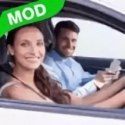 3d模拟驾驶考驾照游戏