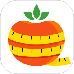 番茄闪轻app