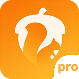 坚果隐藏pro版app